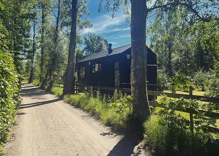 Elevated Tiny House Glamping
